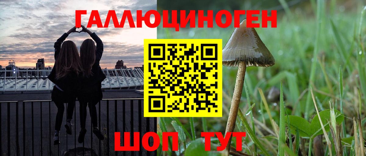 Галлюциногенные грибы Psilocybe  Вход с VPN  Лыткарино  Псилоцибиновые грибы Psilocybine cubensis 