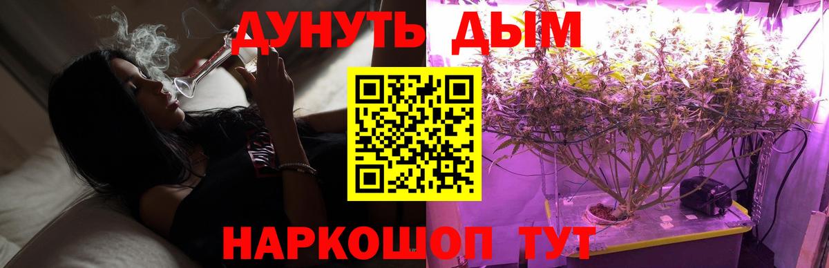 Бошки марихуана VHQ Лыткарино